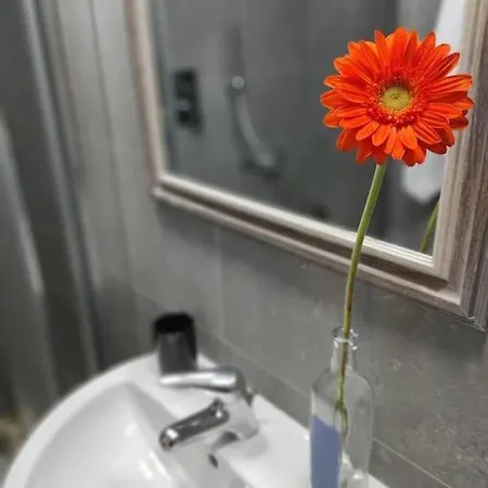 Trinity's * 佛罗伦萨