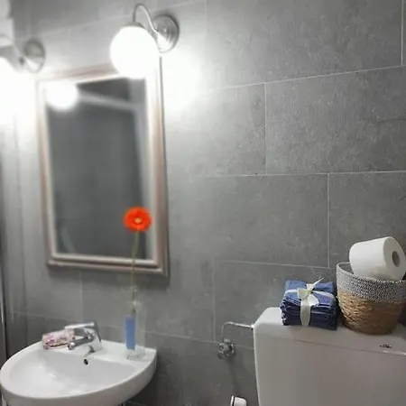 Trinity's 公寓 佛罗伦萨